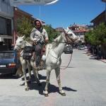 At sırtında 4 bin kilometre katetti