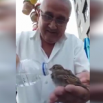 Kuşa elleriyle su içiren merhametli amca