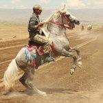 Erzurum Rahvan At Yarışları