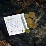 "6 patlıcan topladım, parasını bıraktım, helal edin"