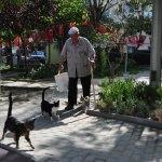 Sokak kedilerine "babalık" yapıyor