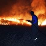 Balıkesir'de sazlık yangını