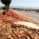 Elazığ'da kamyonet devrildi: 1 yaralı