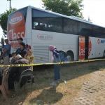 Ordu'da yolcu otobüsüyle kamyonet çarpıştı: 8 yaralı