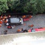 Paris ayakta! Askerleri ezen saldırgan bir daha...