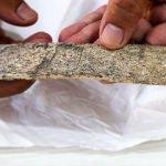 350 bin yıllık kemik parçaları bulundu!