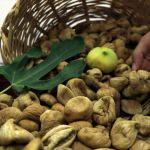 Aydın'da sezonun ilk kuru inciri 70 liradan satıldı