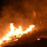Bodrum'da maki yangını