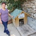 Edirne'de sokak hayvanı kulübelerinin çalındığı iddiası