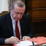 Erdoğan'dan Sivas Kongresi açıklaması!