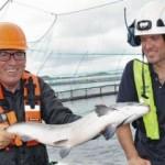 Norveçli balıkçıların hedefi Türkiye 