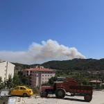 Suriye sınırındaki orman yangını