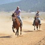 İbradı'da Rahvan At Yarışları