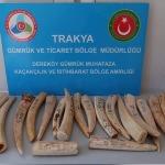 Sınır kapısında fildişi ele ge&ccedil;irildi
