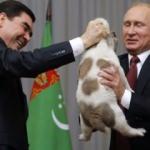 Putin'e çoban köpeği hediye edildi!