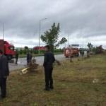 Giresun'da minib&uuml;s ile tır &ccedil;arpıştı: 14 yaralı