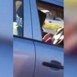 Trafikte örgü ören kadın görenleri şaşkına çevirdi
