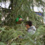 &Ouml;ğrenciler atık malzemelerden kuş kafesleri yaptı