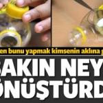 Pet şişeyi bakın neye d&ouml;n&uuml;şt&uuml;rd&uuml;!