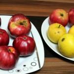 Posof'un "içi kırmızı elması"nın üretimi artırılacak