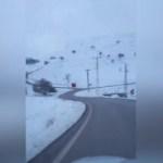'Helal olsun size' dedirten görüntüler!