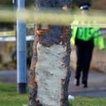 İngiltere'de katliam gibi olay: 3'ü çocuk 5 ölü