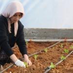 Kadın çiftçiler ekonomiye katkı sağlıyor...