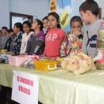 Bodrum'da Yerli Malı Haftası etkinliği