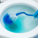 Tuvalet fırçası nasıl temizlenir? 