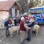 Antalya'da hayvan hırsızları yakalandı