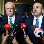 &Ccedil;avuşoğlu ve Maliki'den oylama hakkında ilk yorum