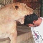 Aslan adamın kafasını böyle ısırdı!