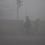 Iğdır'da yoğun sis hayatı olumsuz etkiledi