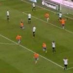 Hamit Altıntop'un golü Almanya'yı salladı