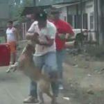 Pitbull saldırdı, canını zor kurtardı