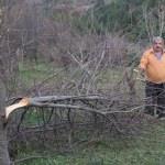 Bahçeden 80 ağacın kesildiği iddiası