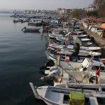 Balıkçılar yeni yılda hamsiye ağ atacak