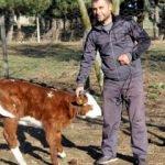 Bu buzağının fiyatı 1 milyon dolar! Şaşıracaksınız