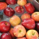 Meyveler nasıl yıkanmalıdır? 