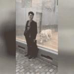 Arkasından sinsice yaklaşıp saldırıya geçti!