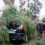 İzmir'de fırtına hayatı olumsuz etkiledi