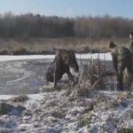 Donmuş gölde mahsur kalan geyik böyle kurtarıldı