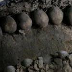 Toprağa gömülü 33 kafatası bulundu