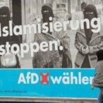 Almanya'da AfD korkusu!