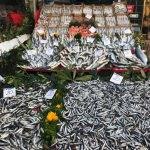 Tezgahlarda balık fiyatları düşmüyor