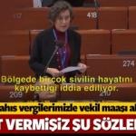 HDP'li Kerestecioğlu'ndan Avrupa'da alçak sözler