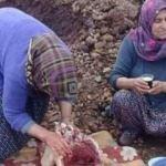 Mehmetçiğe kurban kesen yörük anne ağlattı