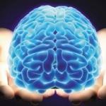 Beyniniz Nasıl Çalışır? Efsaneler ve Gerçekler…