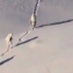 Mehmet&ccedil;ik 2 bin 962 rakımlı dağda ter&ouml;rist avında