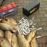 Elektroşokla balık avına 21 bin 292 lira ceza